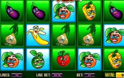 How to Play Farmer’s Market Video Slot Game Online