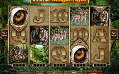 Unleash the Magic of Simsalabim Slots for Spectacular Wins